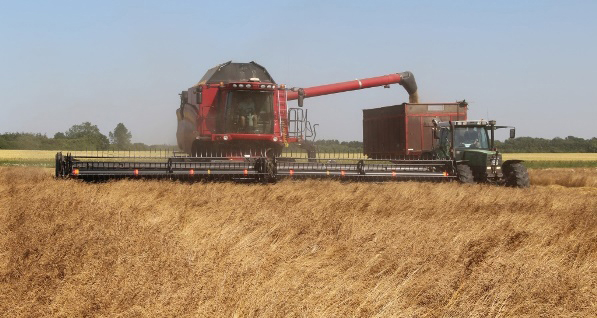 A red harvester unloading seed into a cart behind a tractor